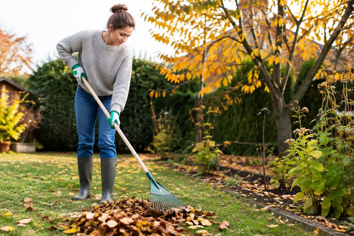 Préparer son jardin pour l'automne